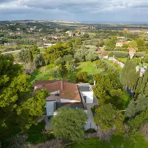 Filoxenia Di Umberto Sassari